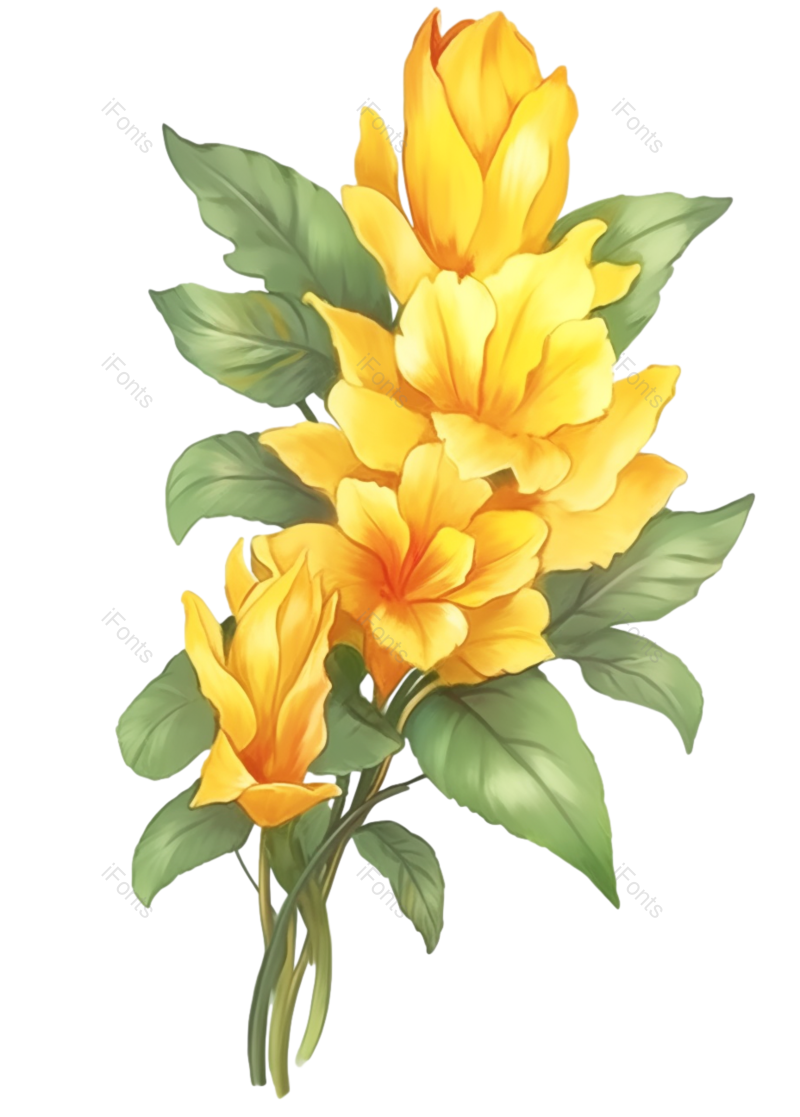 元素图片,秋天元素,插画PNG,绿叶免抠素材